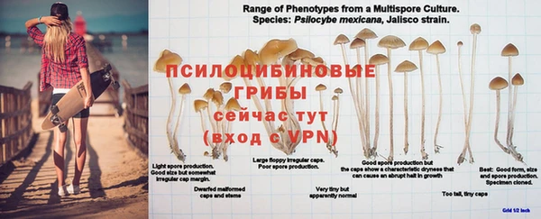 МДПВ Балабаново